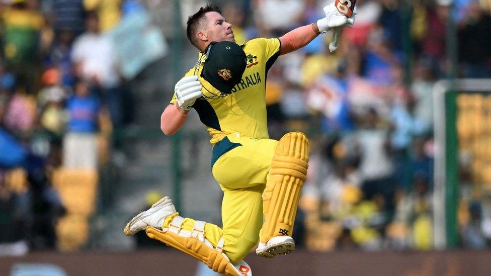 David Warner celebrates a century