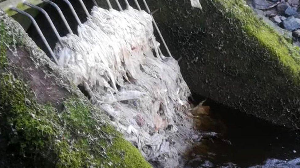 Sewage waste at an overflow pipe that leads to the River Almond