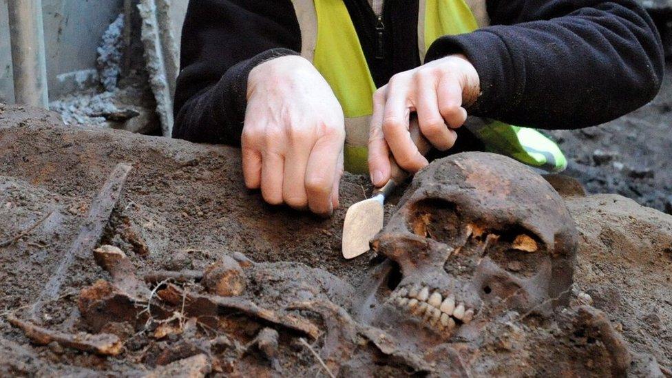 Unearthing a skeleton