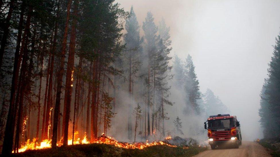 Wildfires have blazed across Sweden this summer, with hot weather and persistent drought cited as the main causes