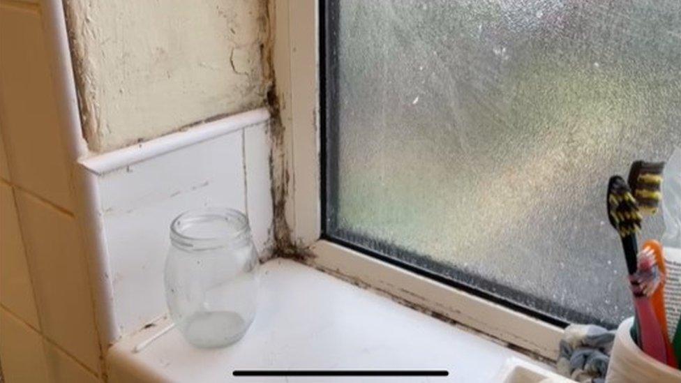 Mould on window frame