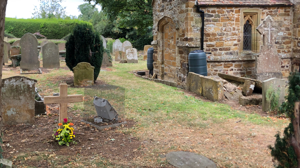 victim's grave