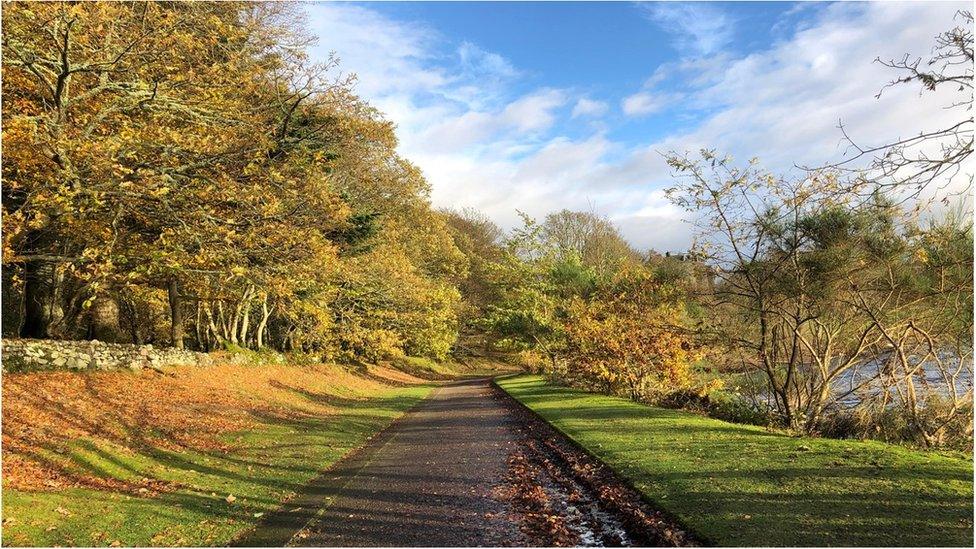 Autumn path, Dunollie, Argyll and Bute