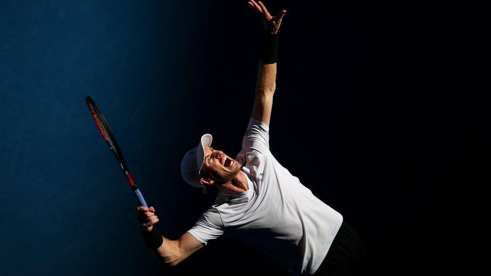 British tennis player Andy Murray at the Australian Open