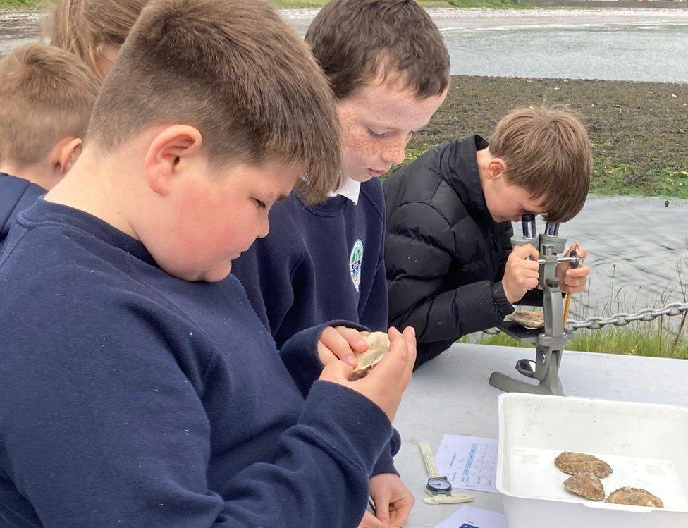 Children from Seaview Integrated Primary School in Glenarm