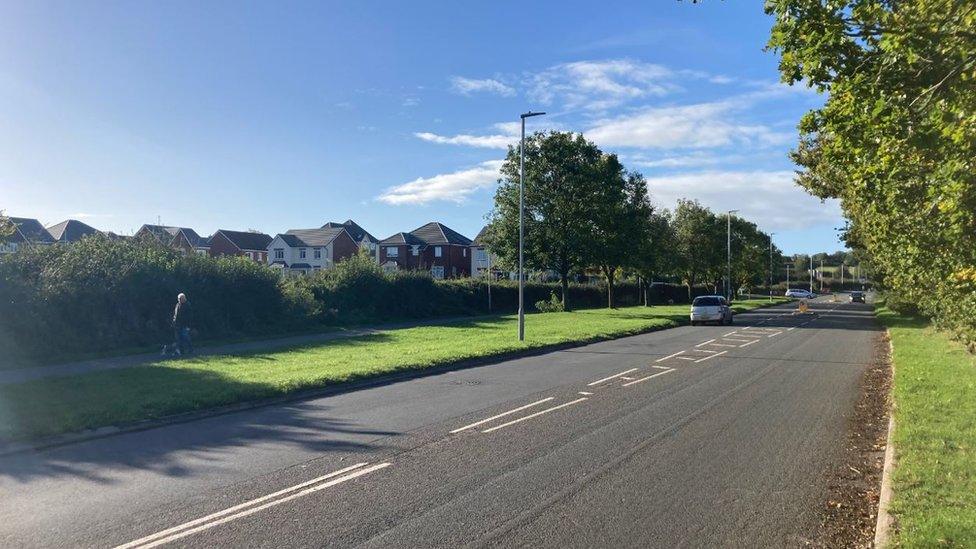 Road and trees and housing development in the background