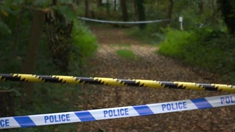 Woodland cordoned off with tape