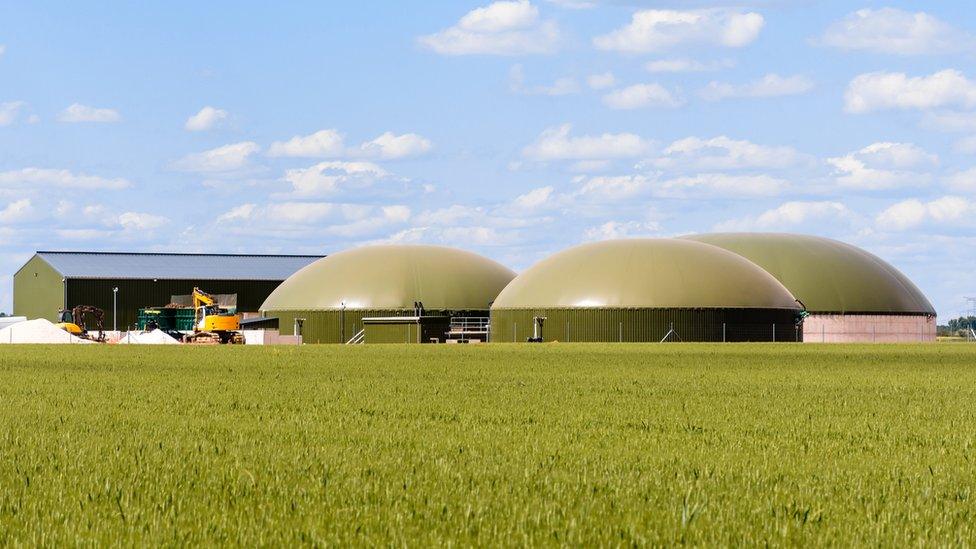 General view of a biogas plant with three digesters in a green wheat field in the countryside under a blue sky with white clouds.