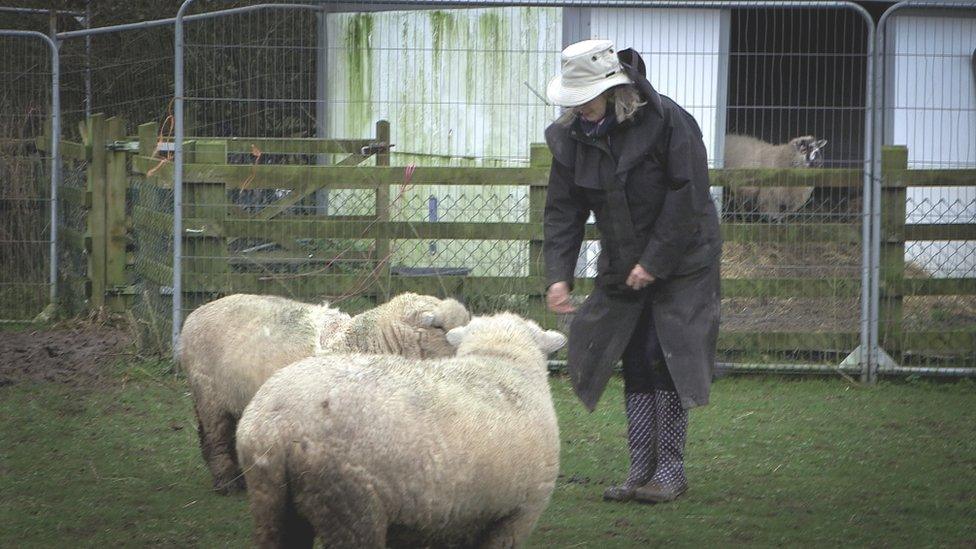 Robbie Bartington with a pair of sheep