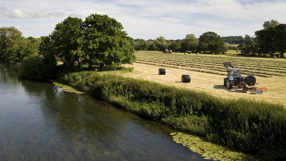 A tractor baling silage in a field next to a river