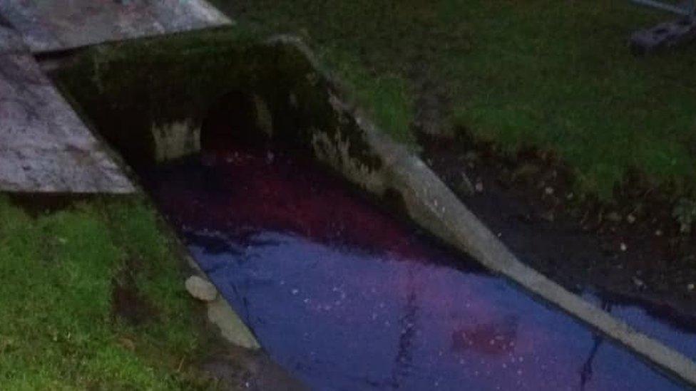 Anglers' pictures show the extent of the spill