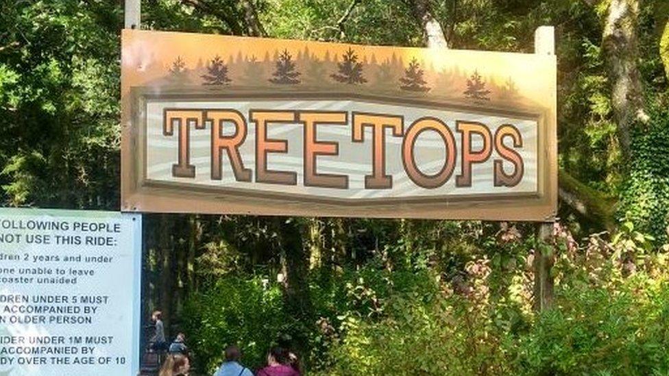 treetops