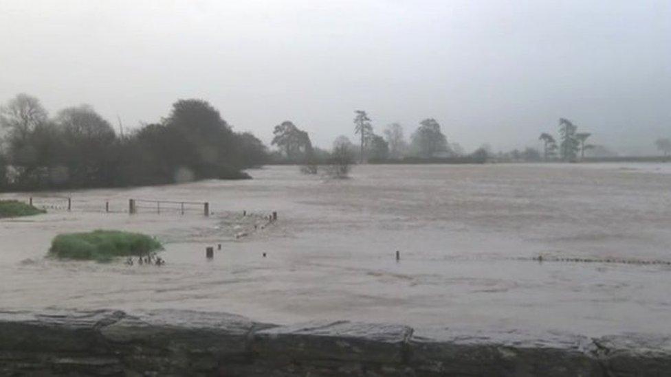 Flooded field