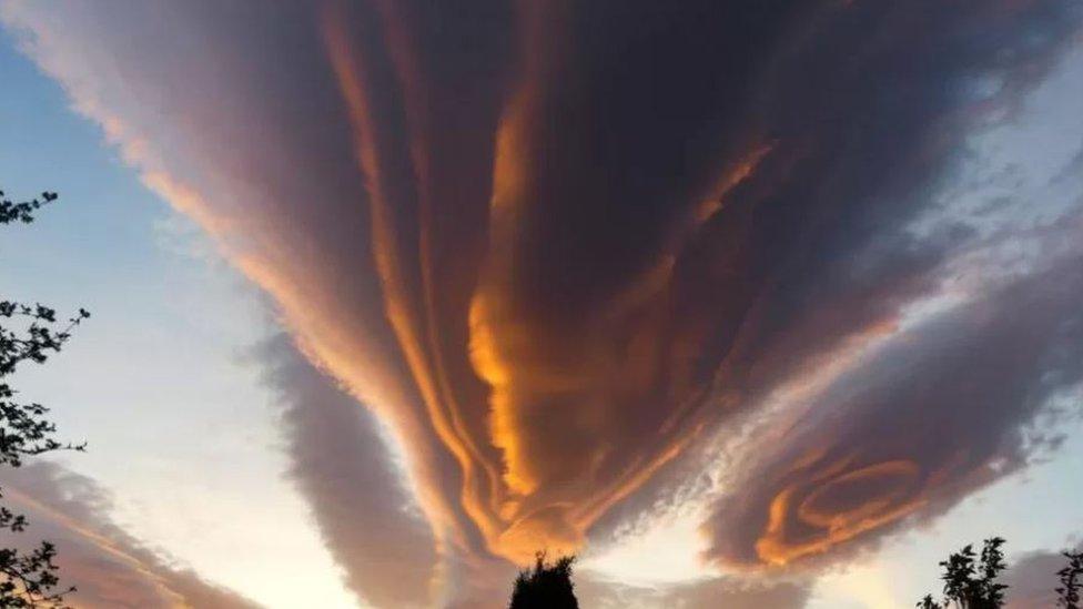 Lenticular clouds