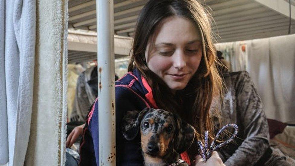 Refugee with dog