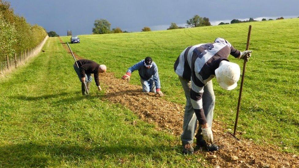 Volunteers tidying up in a field