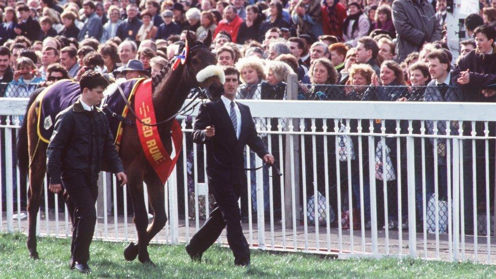 Red Rum being led past spectators