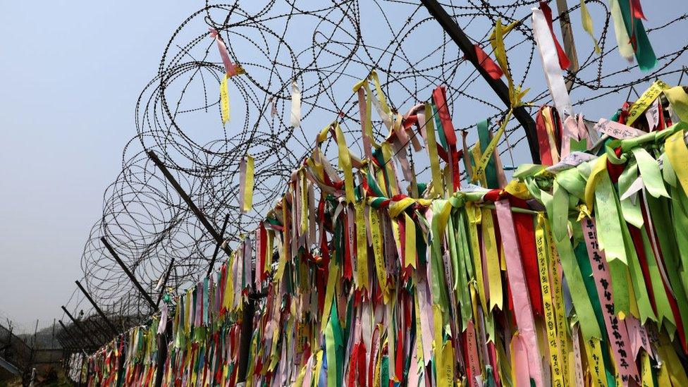 Ribbons on the border