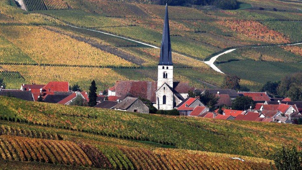 Champagne vineyards are pictured on October 25, 2019