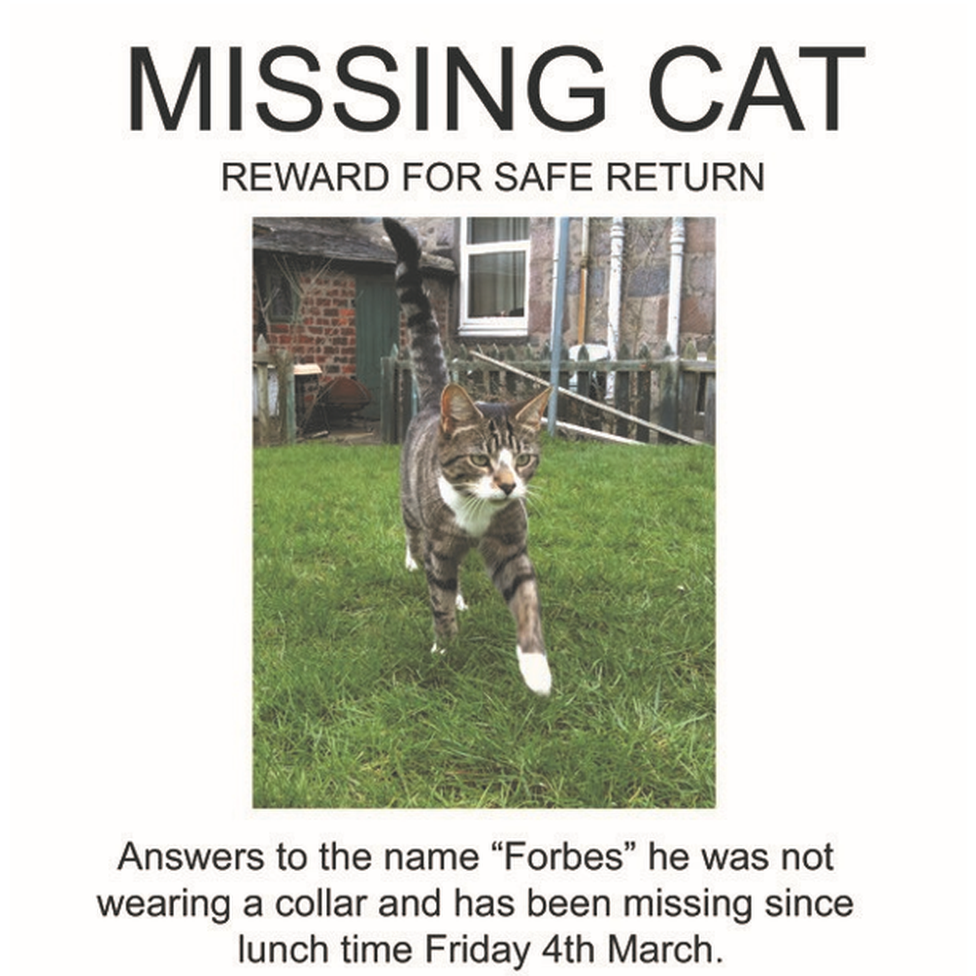 Missing poster