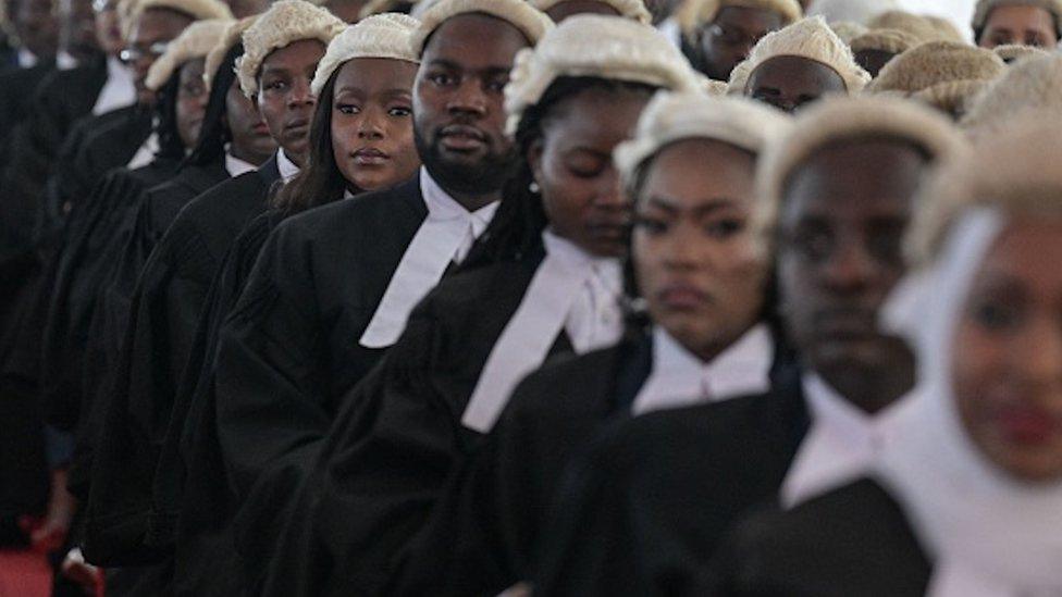 Lawyers sitting in court in a line