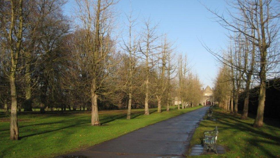 Parc Bute