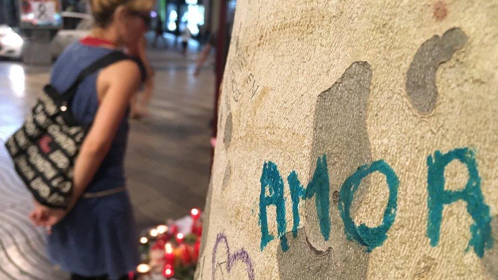 Tree on the Ramblas, Barcelona, 21 August