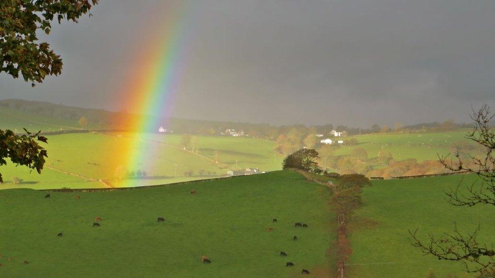 Mike has lived in Wales for the past 20 years and has attempted to reclaim the queerness of the countryside