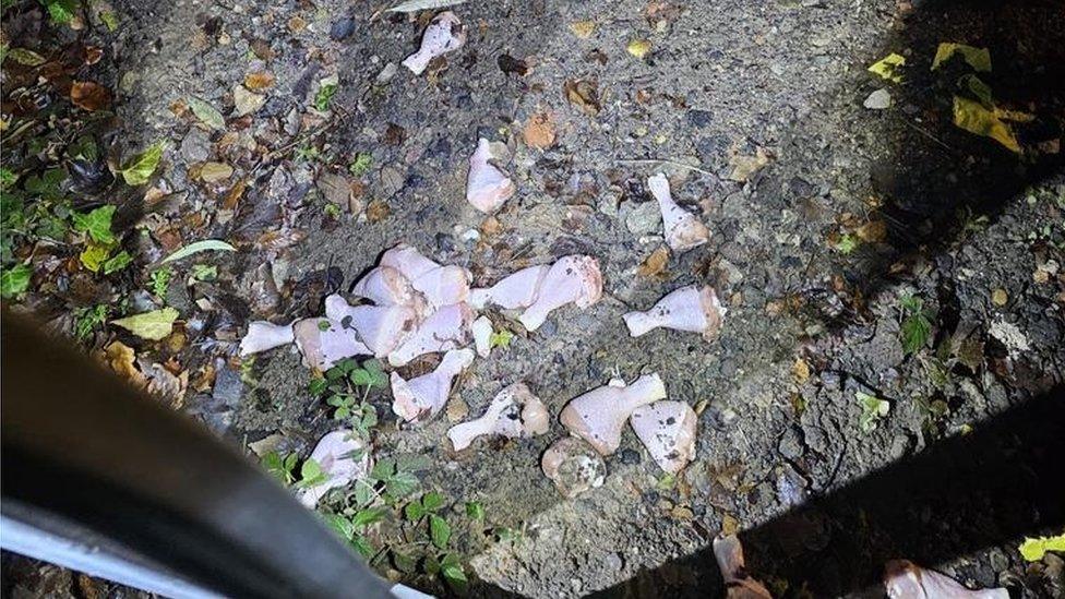 Pile of raw meat abandoned in Reddish, Stockport