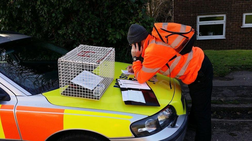 Animal Search UK team member on the phone