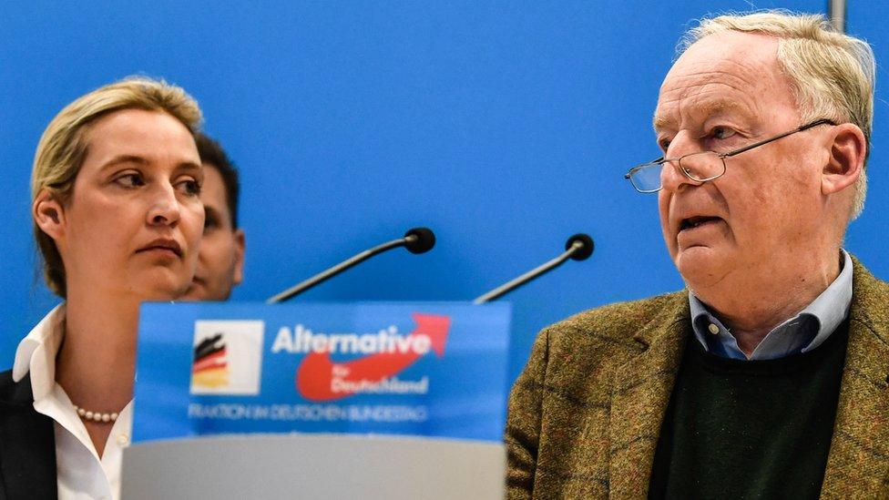 AfD leaders Alice Weidel (L) and Alexander Gauland, 15 Jan 19