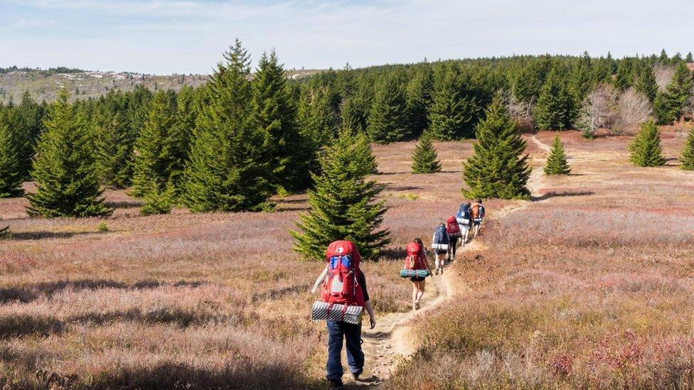 Students hiking in the wilderness