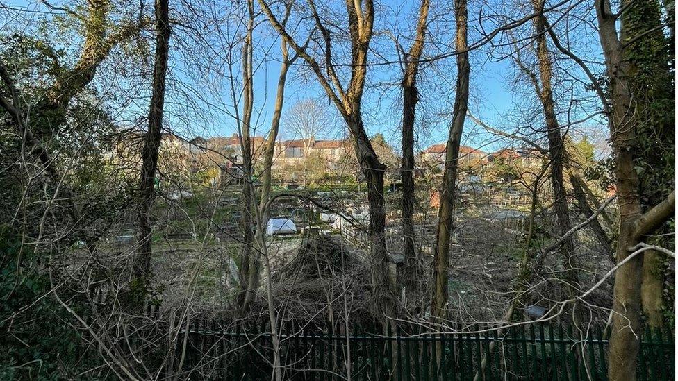 Redland Green Allotments