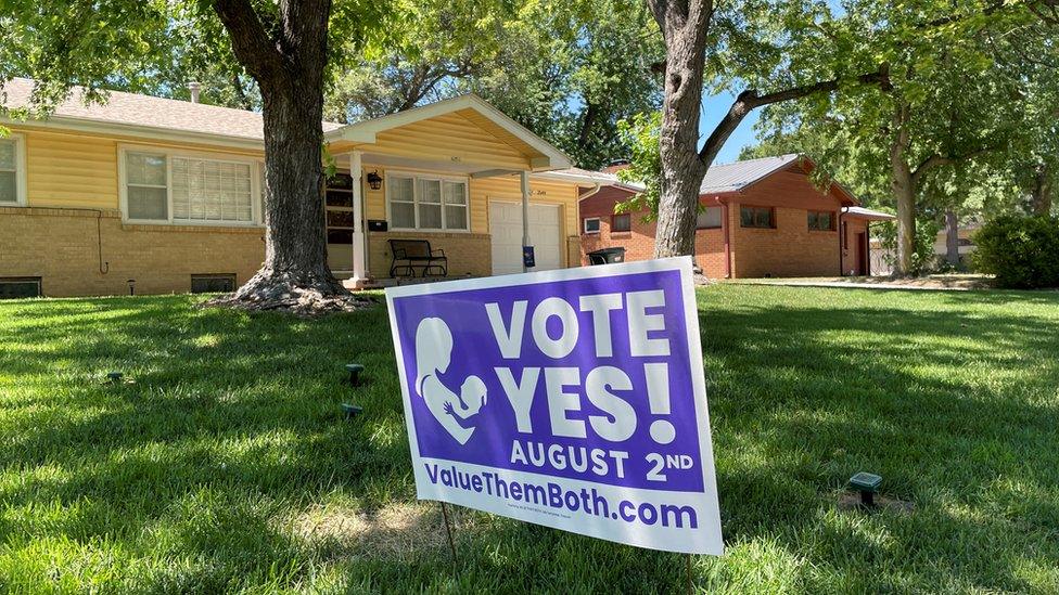 Political sign in front yard