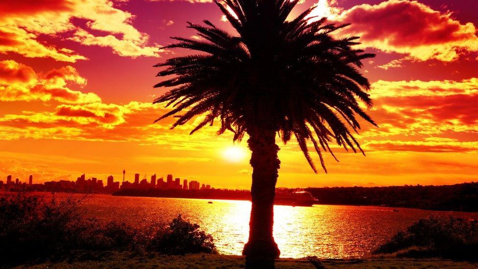 A view across Sydney's harbour to the city skyline at sunset