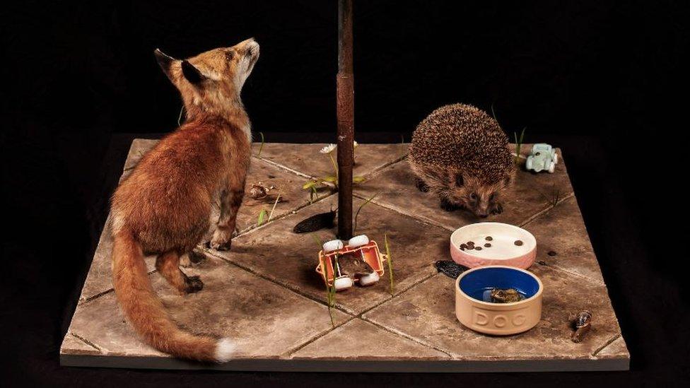 The bottom half of the diorama, featuring a fox, hedgehog, mouse, slug, snails and a frog