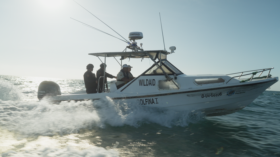 WildAid boat out on the sea