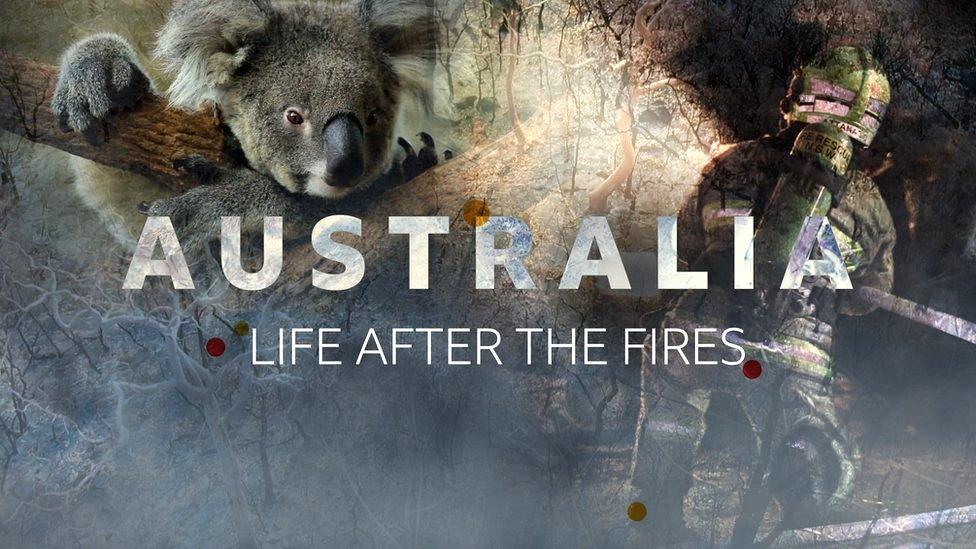 Koala-and-firefighter-title-page.