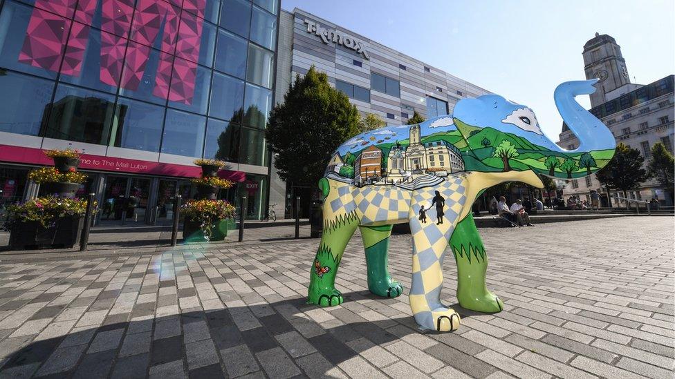 Elephant in Luton