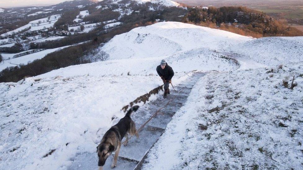 Dog walker on the hills