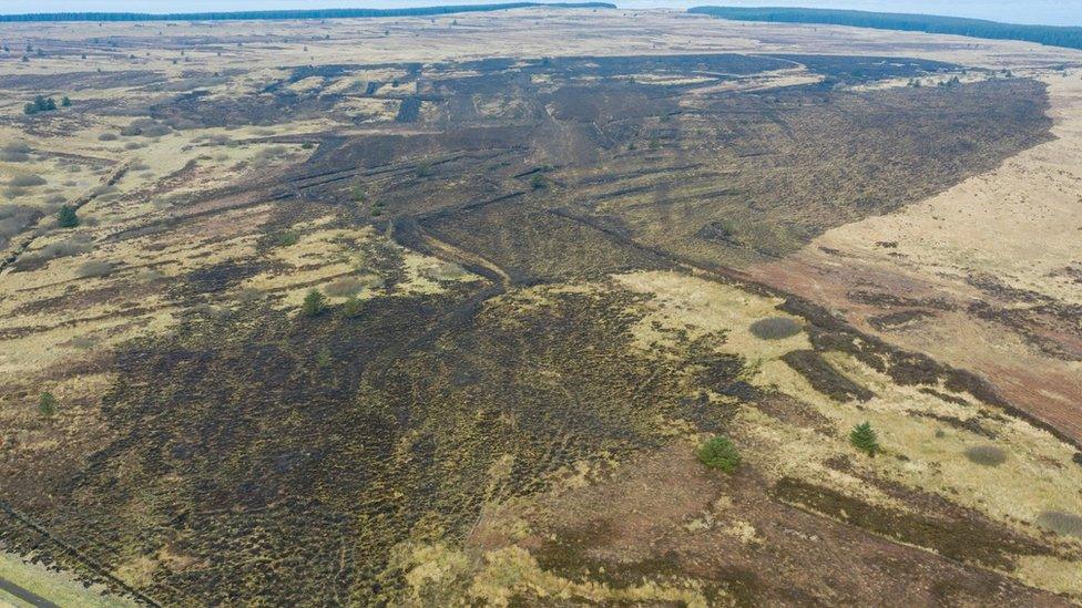 Gorse fire near Articlave