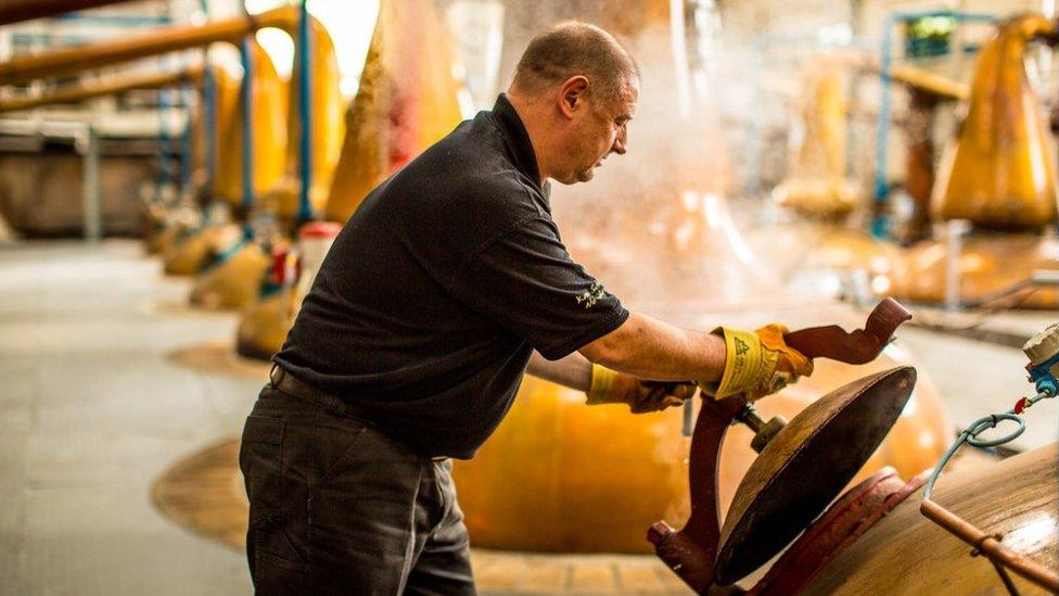 Man working in distillery