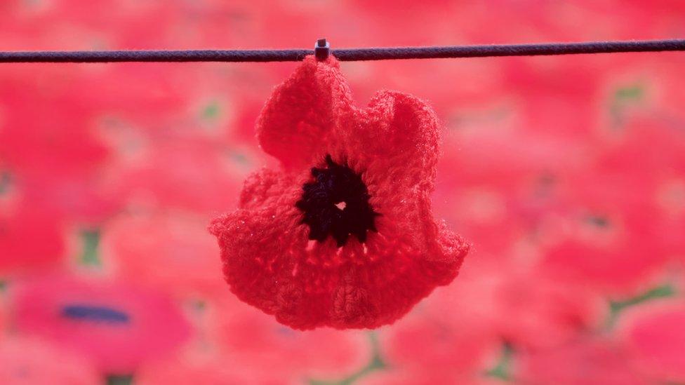 Wellesbourne poppies