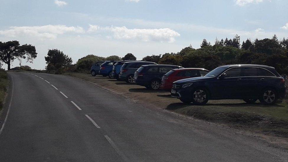 Cars parked on verges in the New Forest