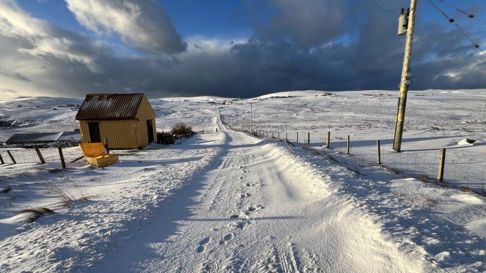 Shetland in snow