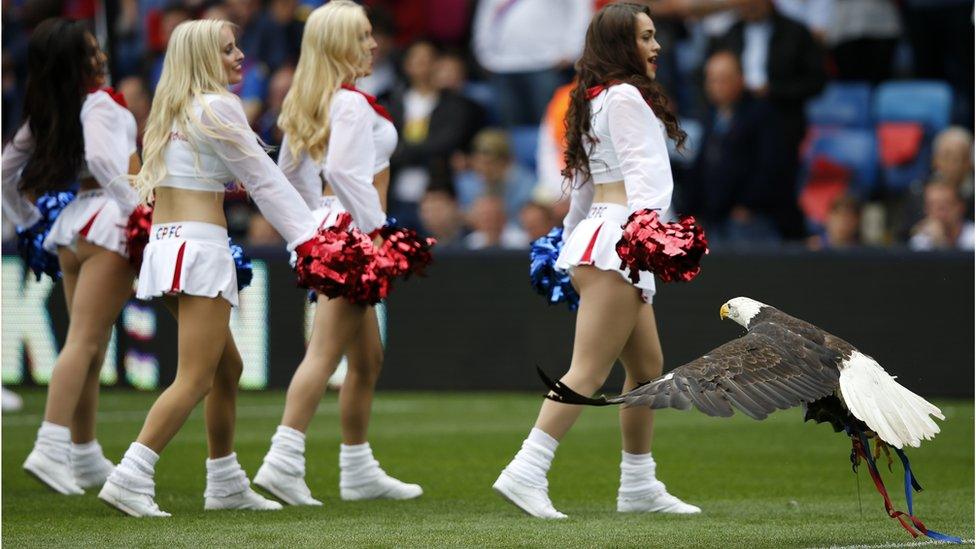 Kayla the eagle in the pitch as cheerleaders entertain the crowd ahead of the English Premier League football match between Crystal Palace and Arsenal at Selhurst Park in south London on August 16, 2015