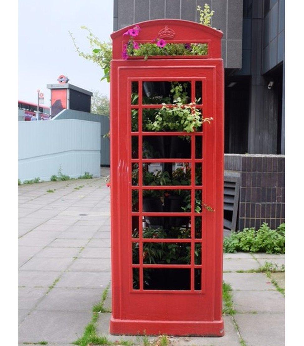 A phone box being used like a greenhouse full of plants