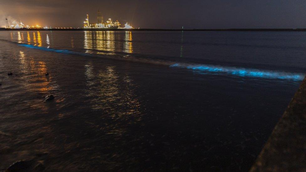 Bioluminescent plankton off Aberavon Beach