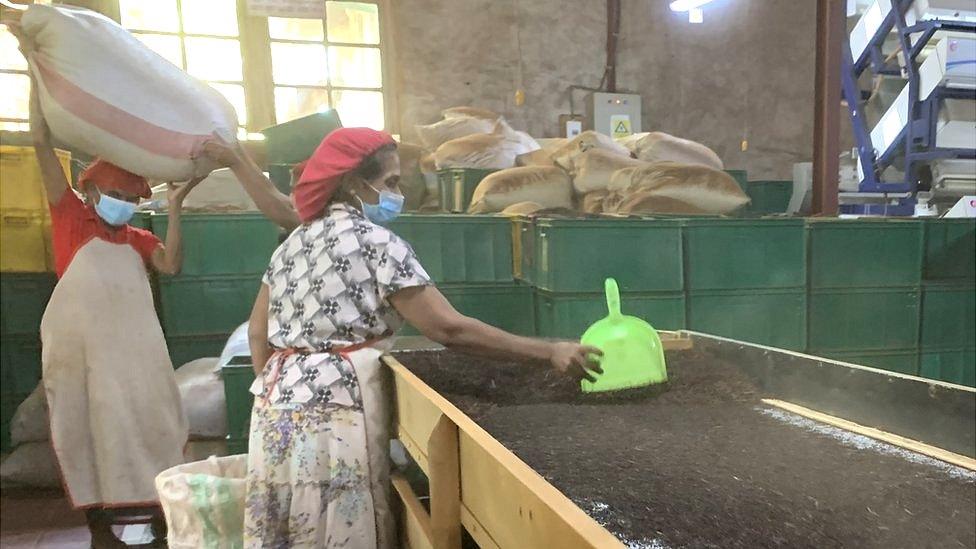 Workers at Meezan Mohideen's tea factory