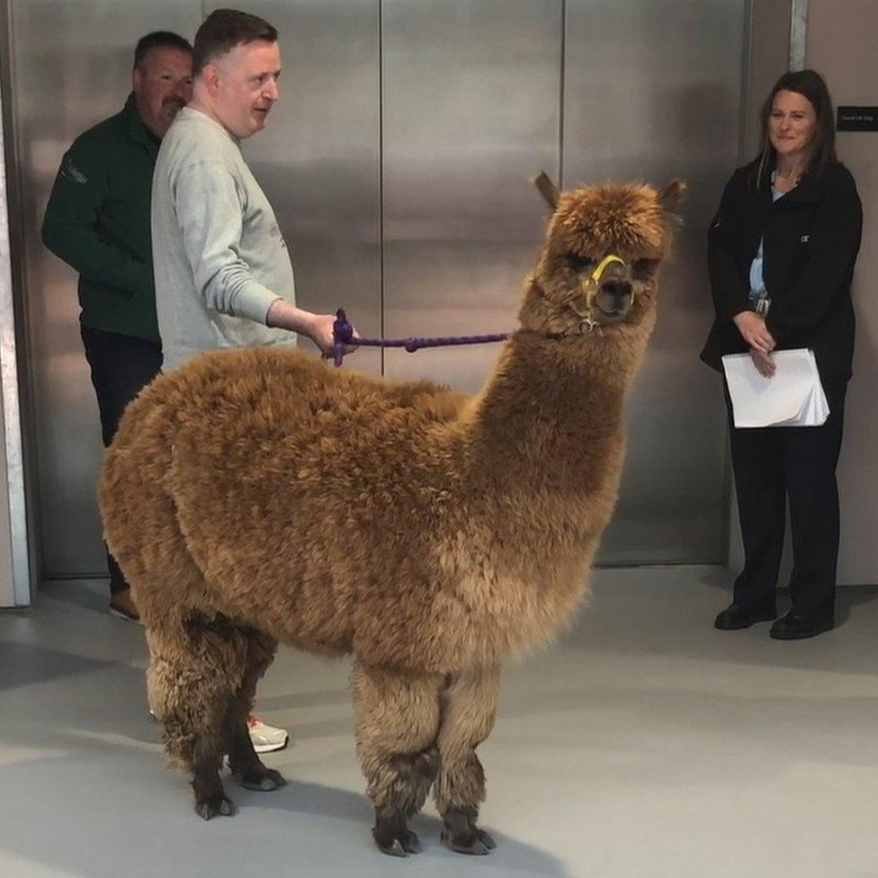 Annie and her owner Dannie Burns at 鶹Լ Scotland's Pacific Quay base